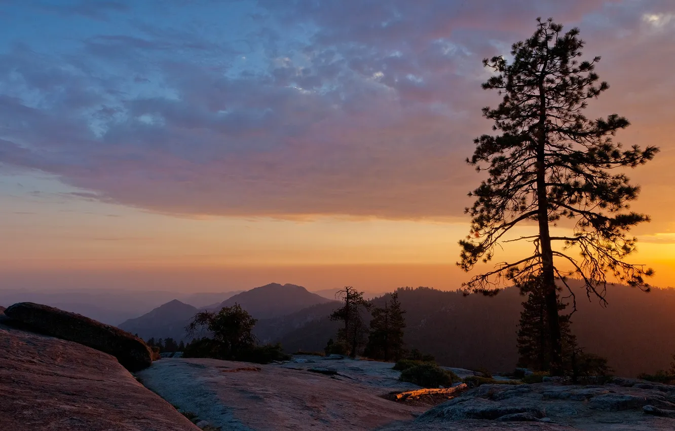 Фото обои sunset, usa, beetle rock, sequoia national park