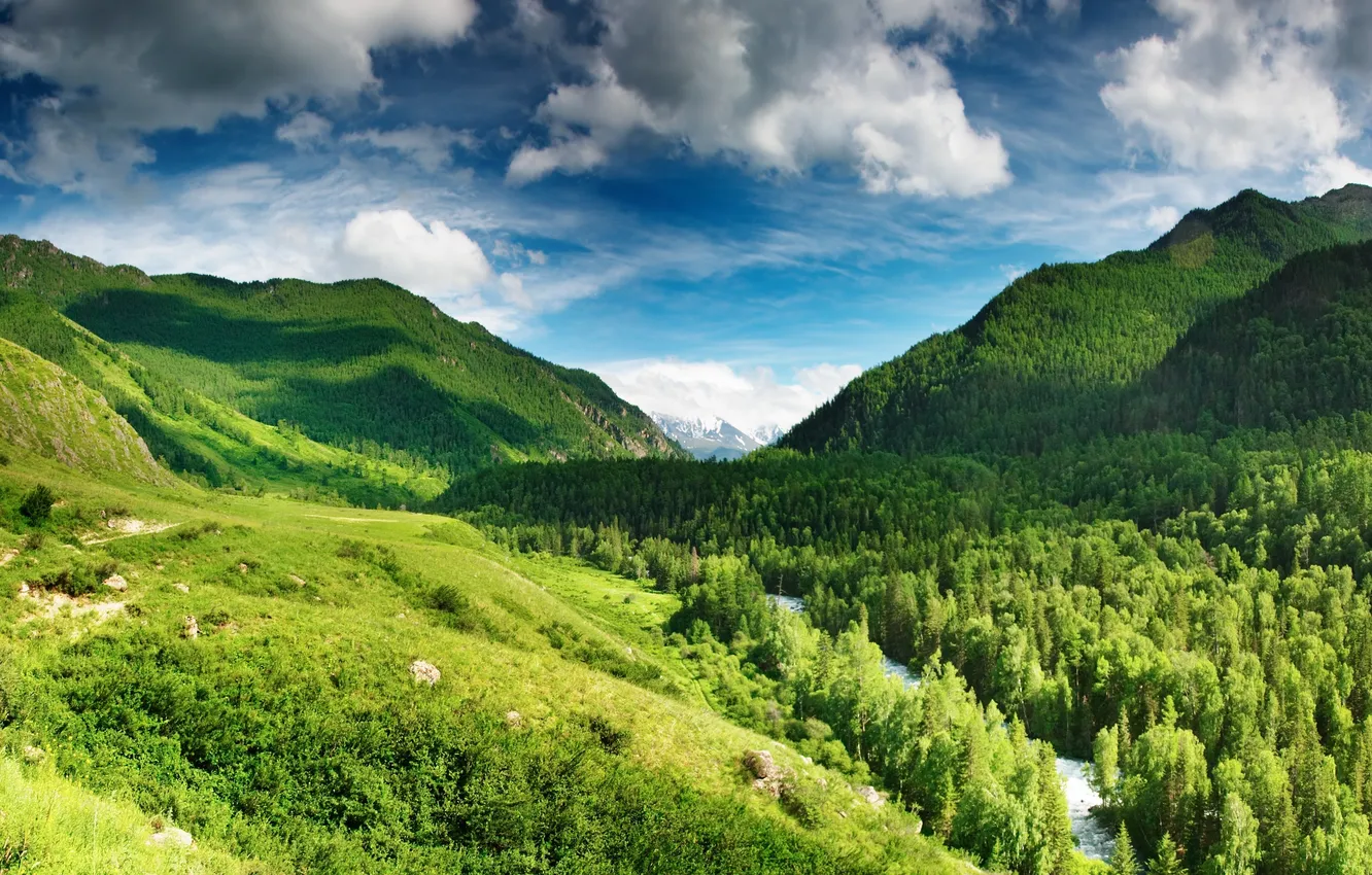 Фото обои лес, небо, облака, горы, река, голубое, Green highlands
