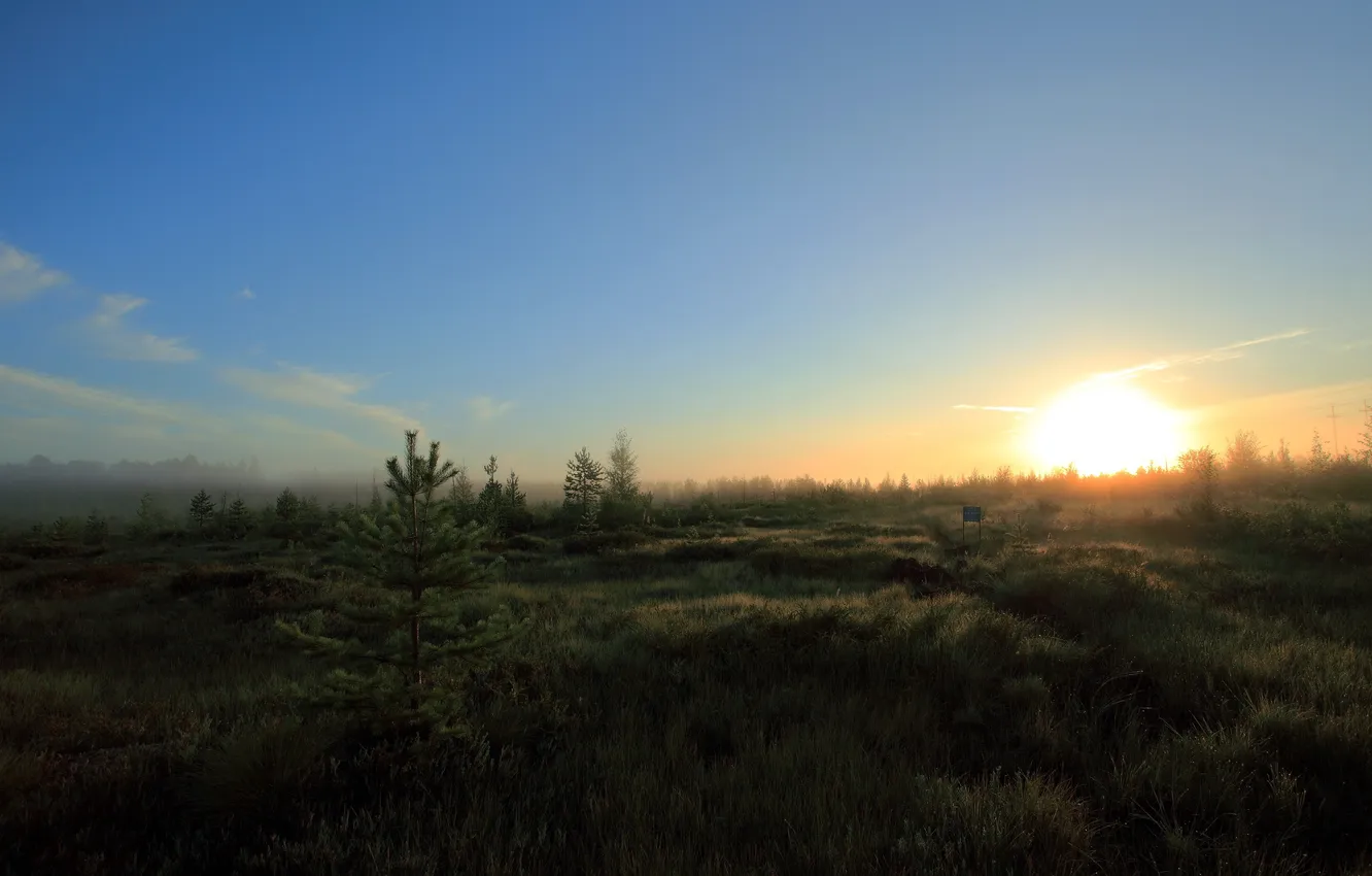 Фото обои поле, пейзаж, природа, утро