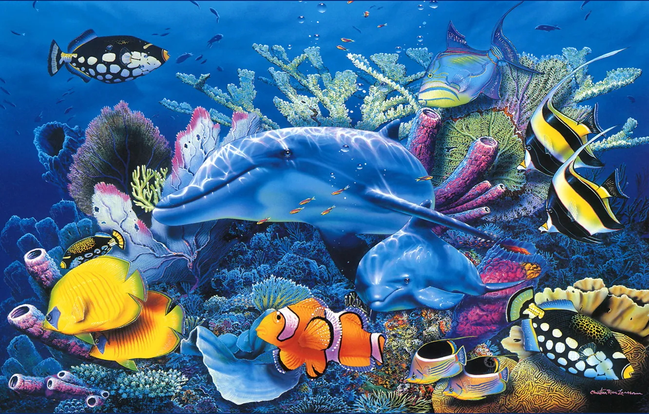 Фото обои море, рыбы, дельфин, голубое, аквариум, красиво, Christian, Riese