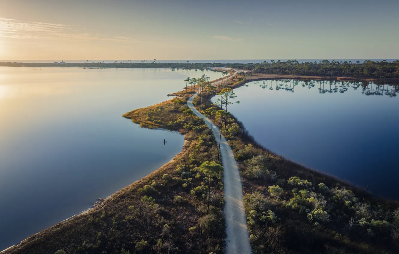 Фото обои Вода, Деревья, США, Alabama, Алабама, Прибрежная среда обитания, Bon Secour, Бон Секур