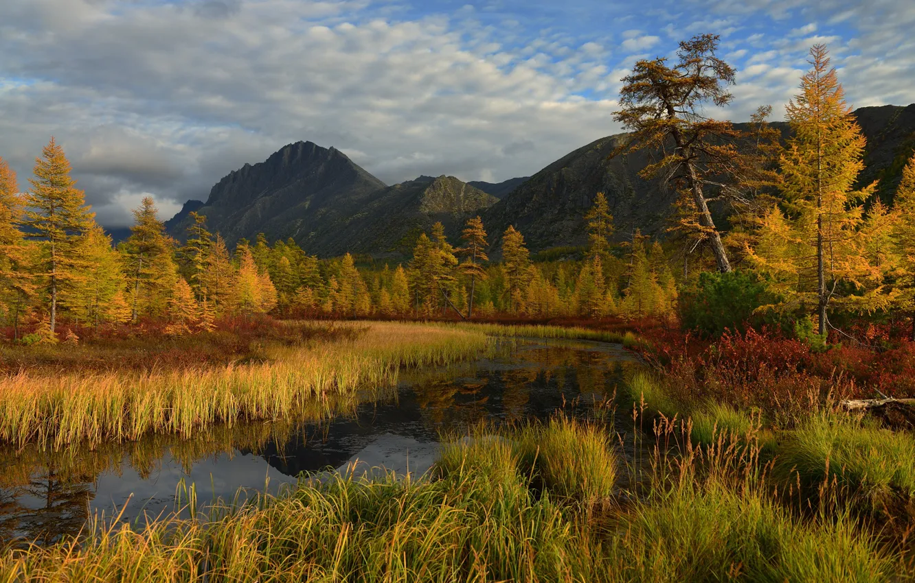 Фото обои осень, лес, небо, трава, облака, деревья, горы, река