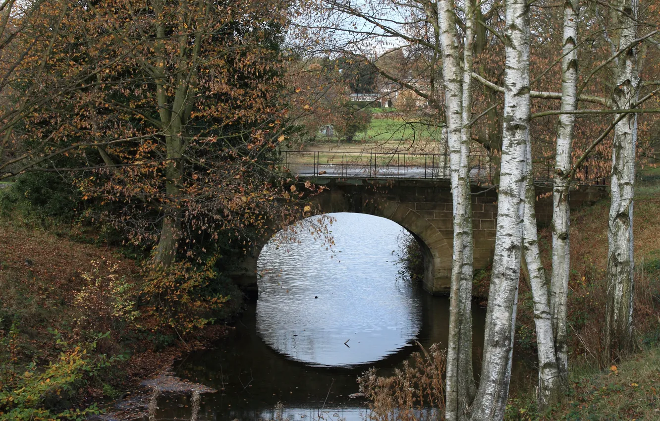 Фото обои Осень, Канал, Fall, Bridge, Autumn, Мостик, Canal