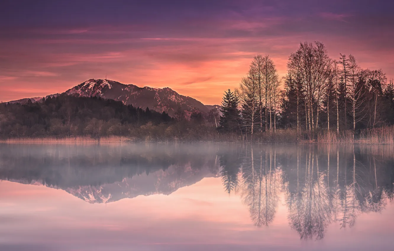 Фото обои деревья, горы, озеро, Германия, Бавария, Germany, Bavaria