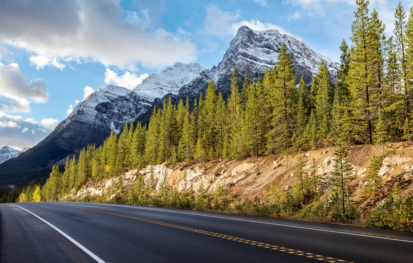 Фото обои дорога, лес, деревья, горы, Канада, Альберта, Banff National Park, Alberta