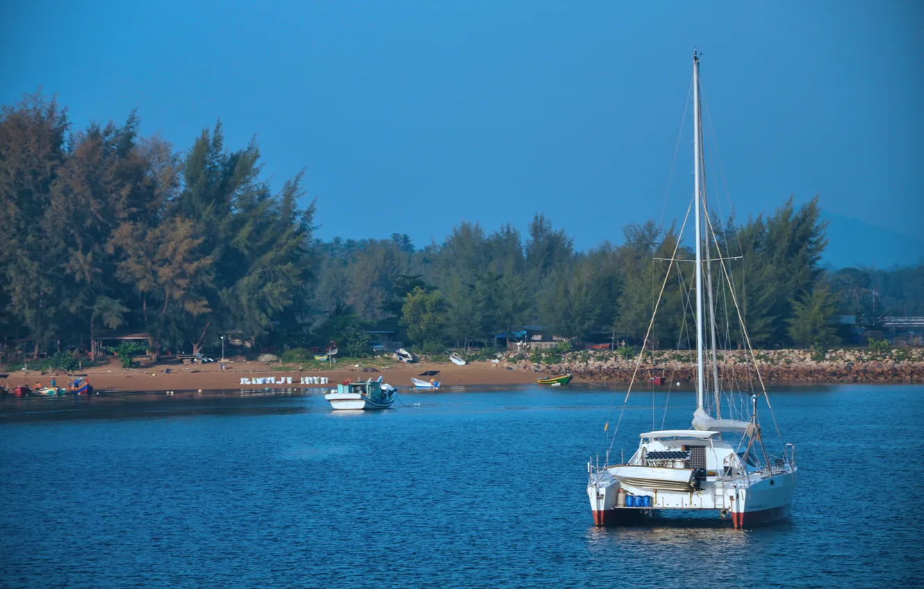 Фото обои beach, sea, tree, boat