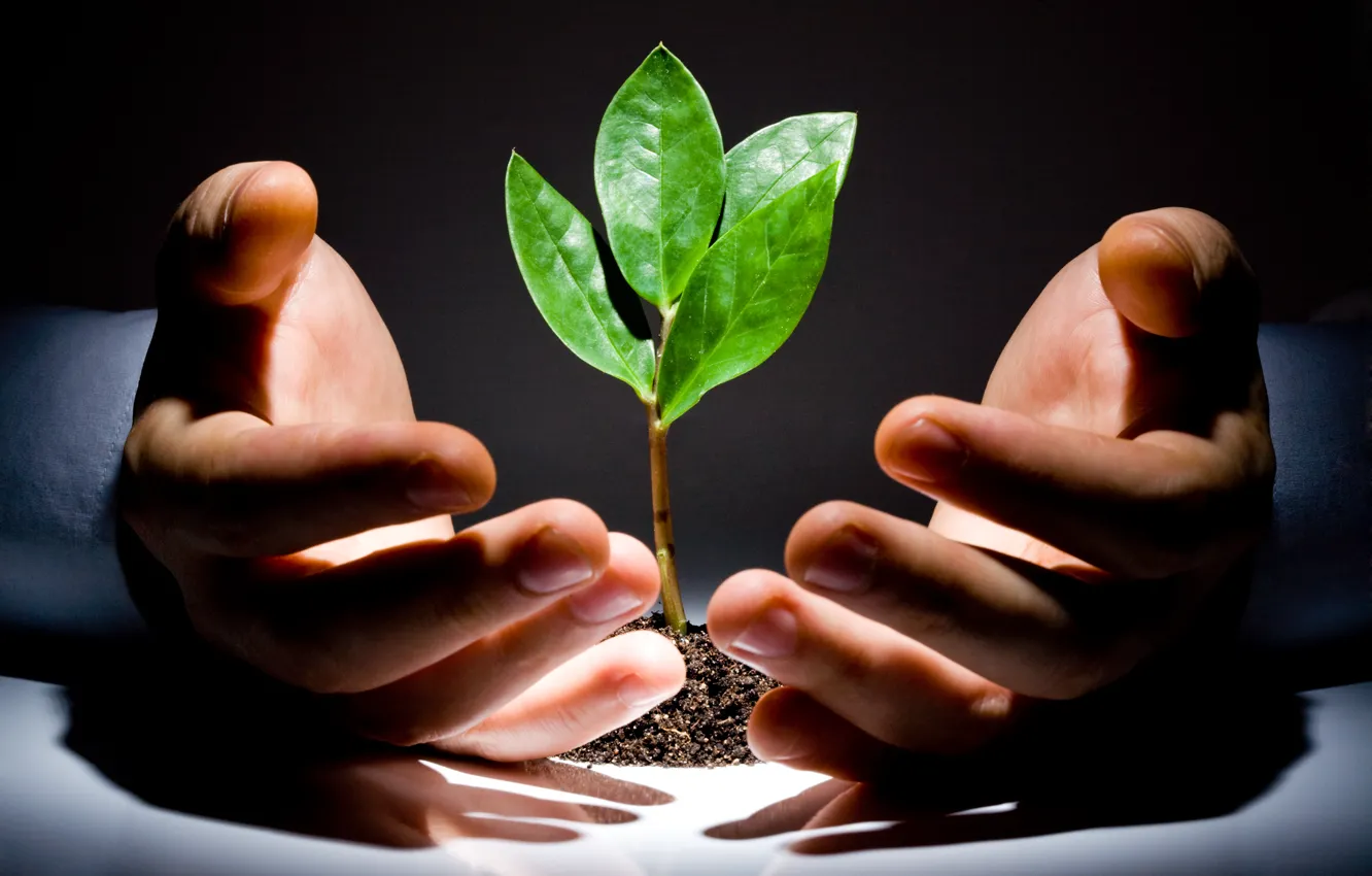 Фото обои green, light, leaves, floor, hands, hope