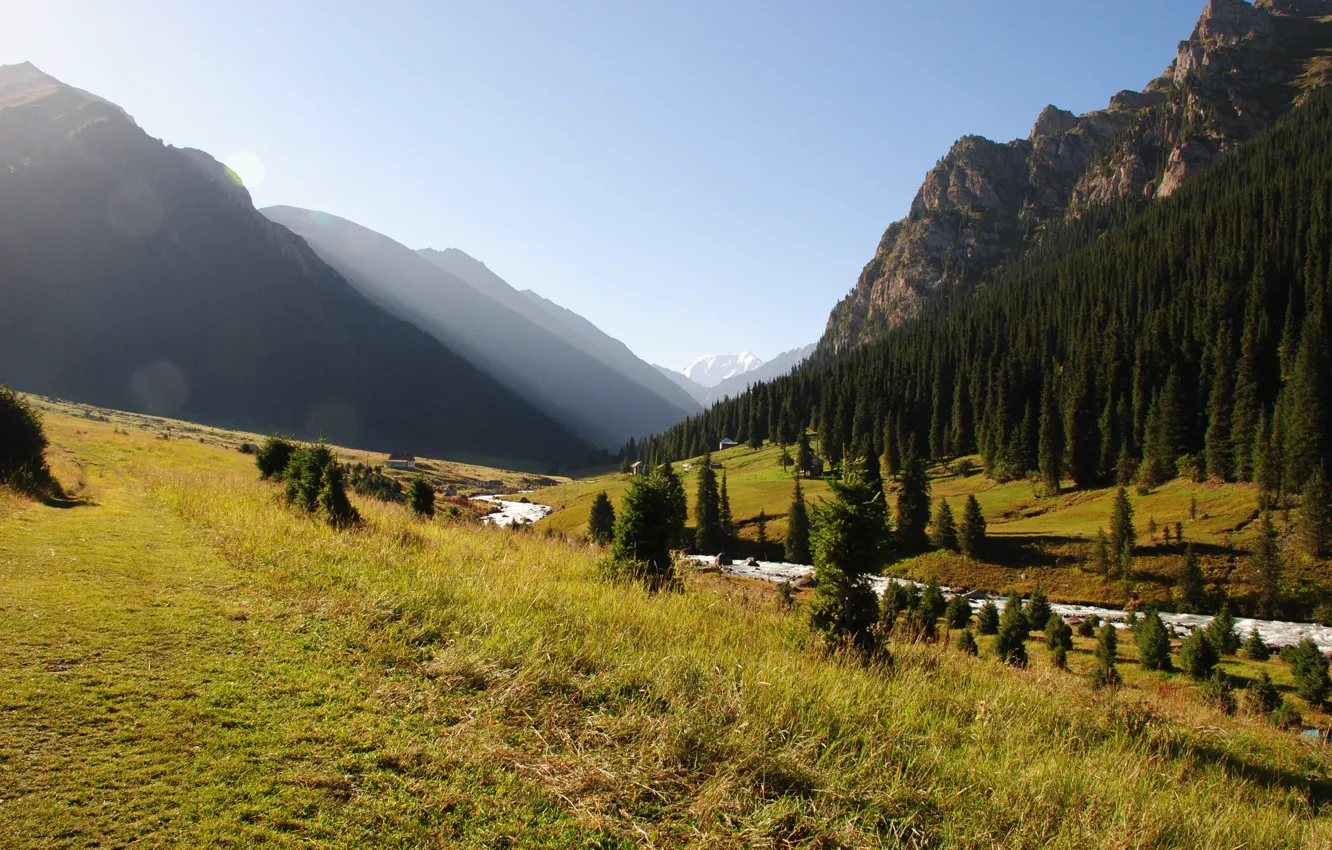 Фото обои лес, горы, природа, река, Karakol, Altyn Arashan, Киргизия