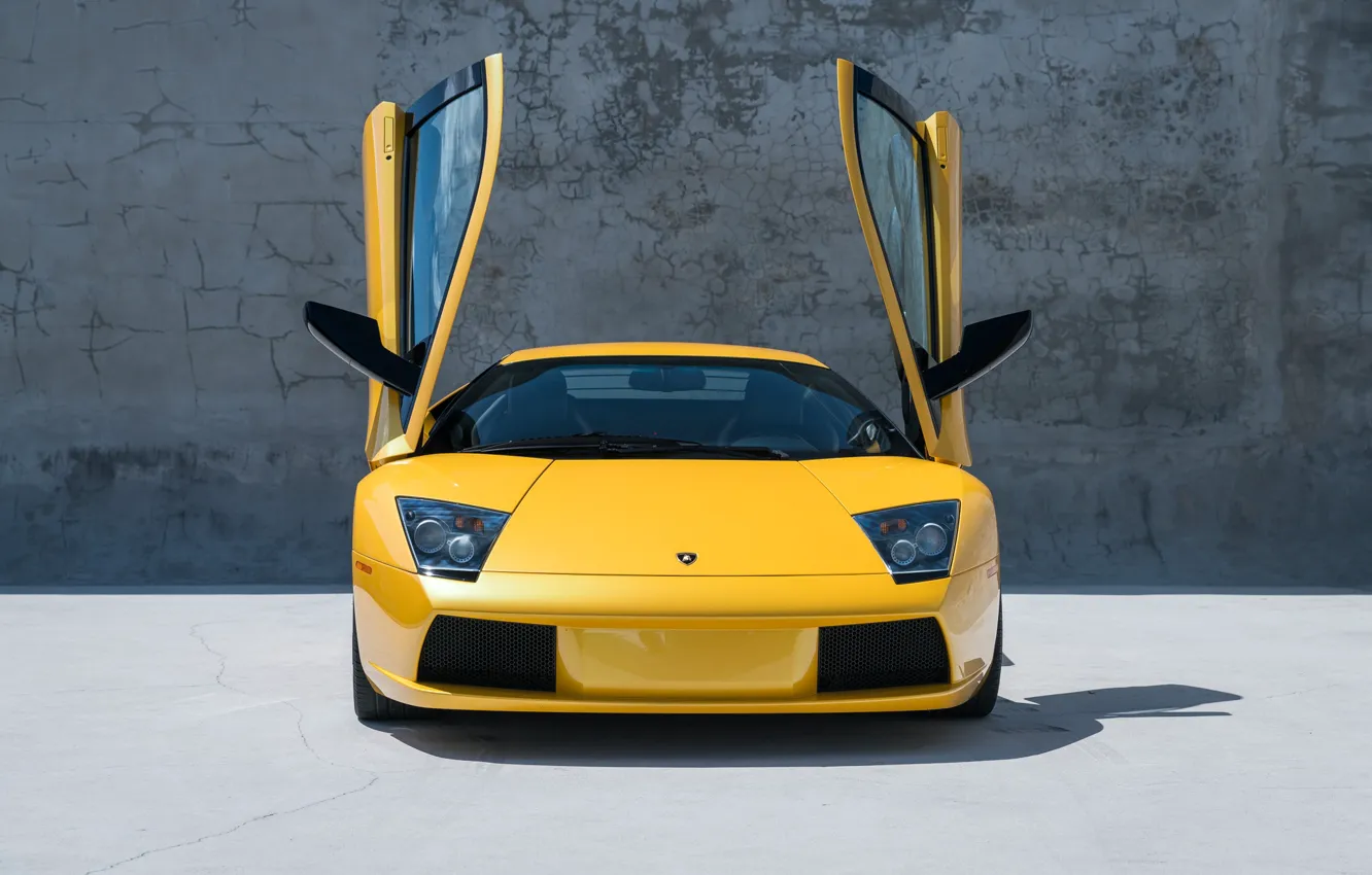 Фото обои Lamborghini, Lamborghini Murcielago, Murcielago, lambo, front view, scissor doors