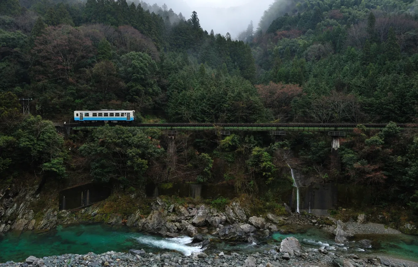 Фото обои river, trees, bridge, Train