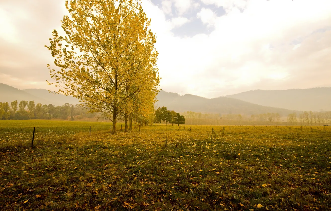 Фото обои поле, осень, пейзаж, горы, природа