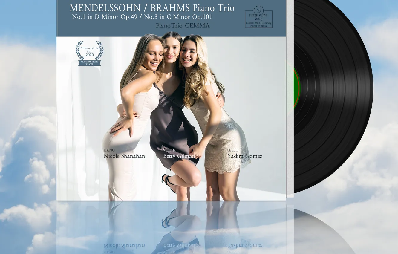 Фото обои classical music, vinyl record, piano trio