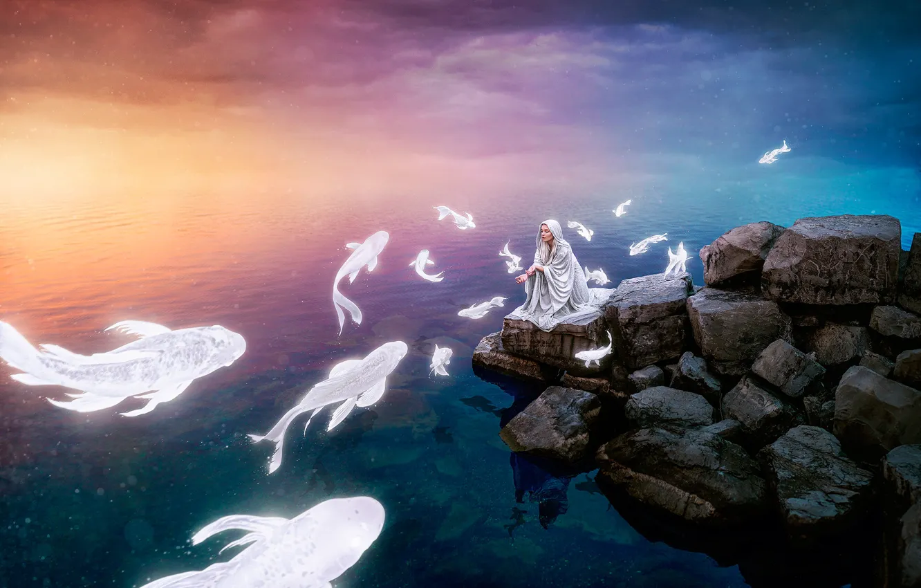 Фото обои море, девушка, рыбы, закат, камни