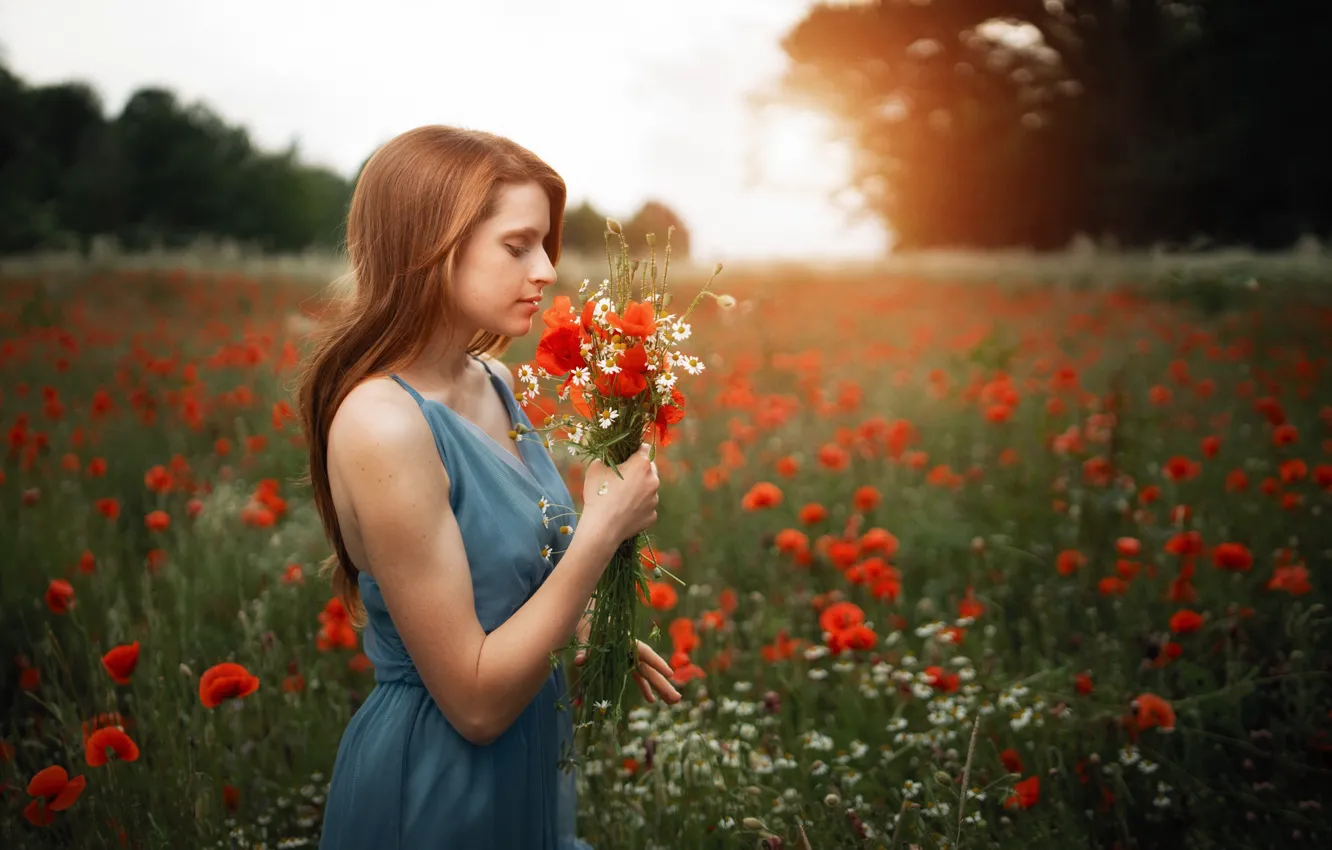 Фото обои лето, девушка, цветы, природа