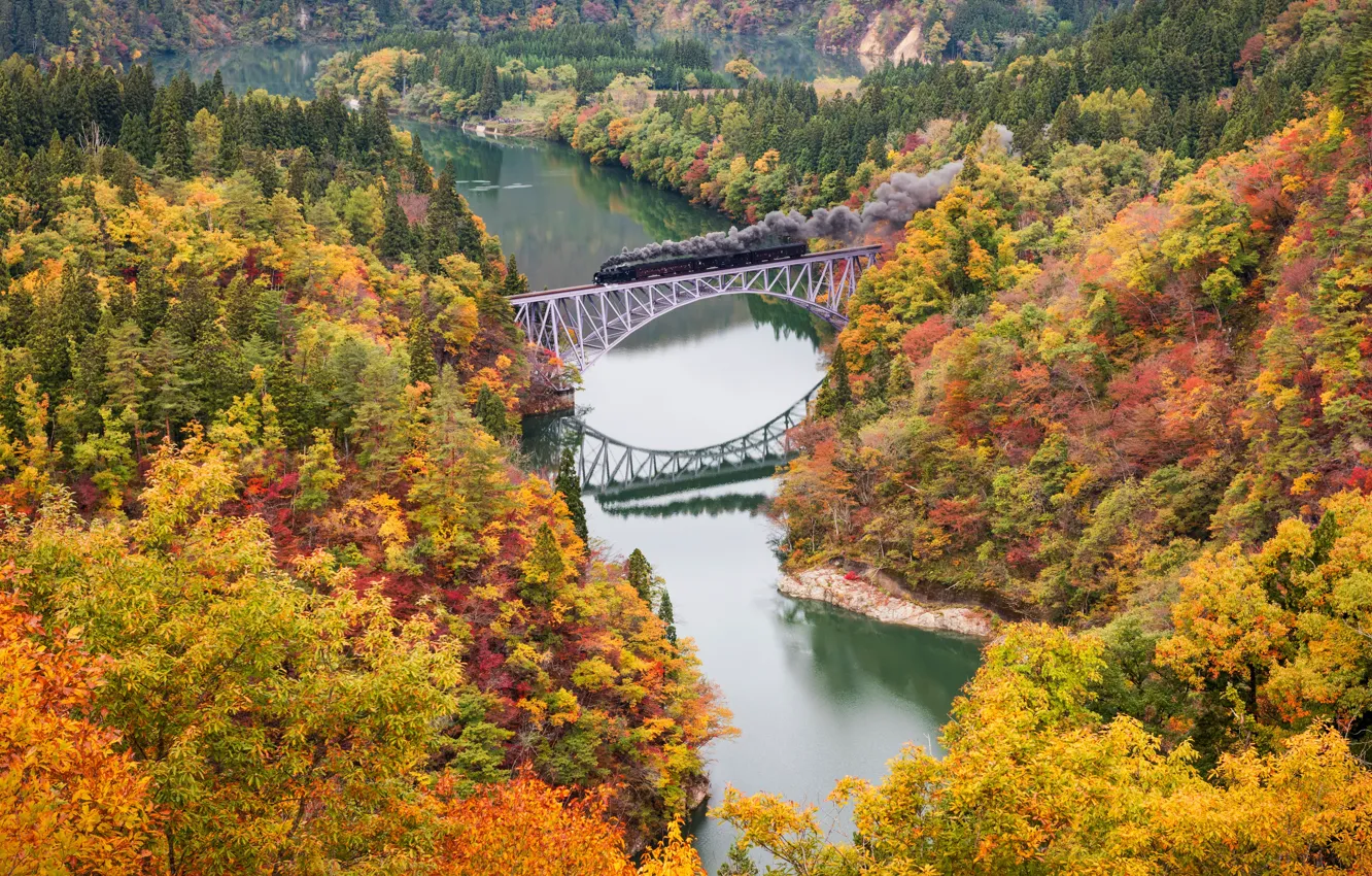 Фото обои осень, деревья, мост, река, краски, поезд, паровоз