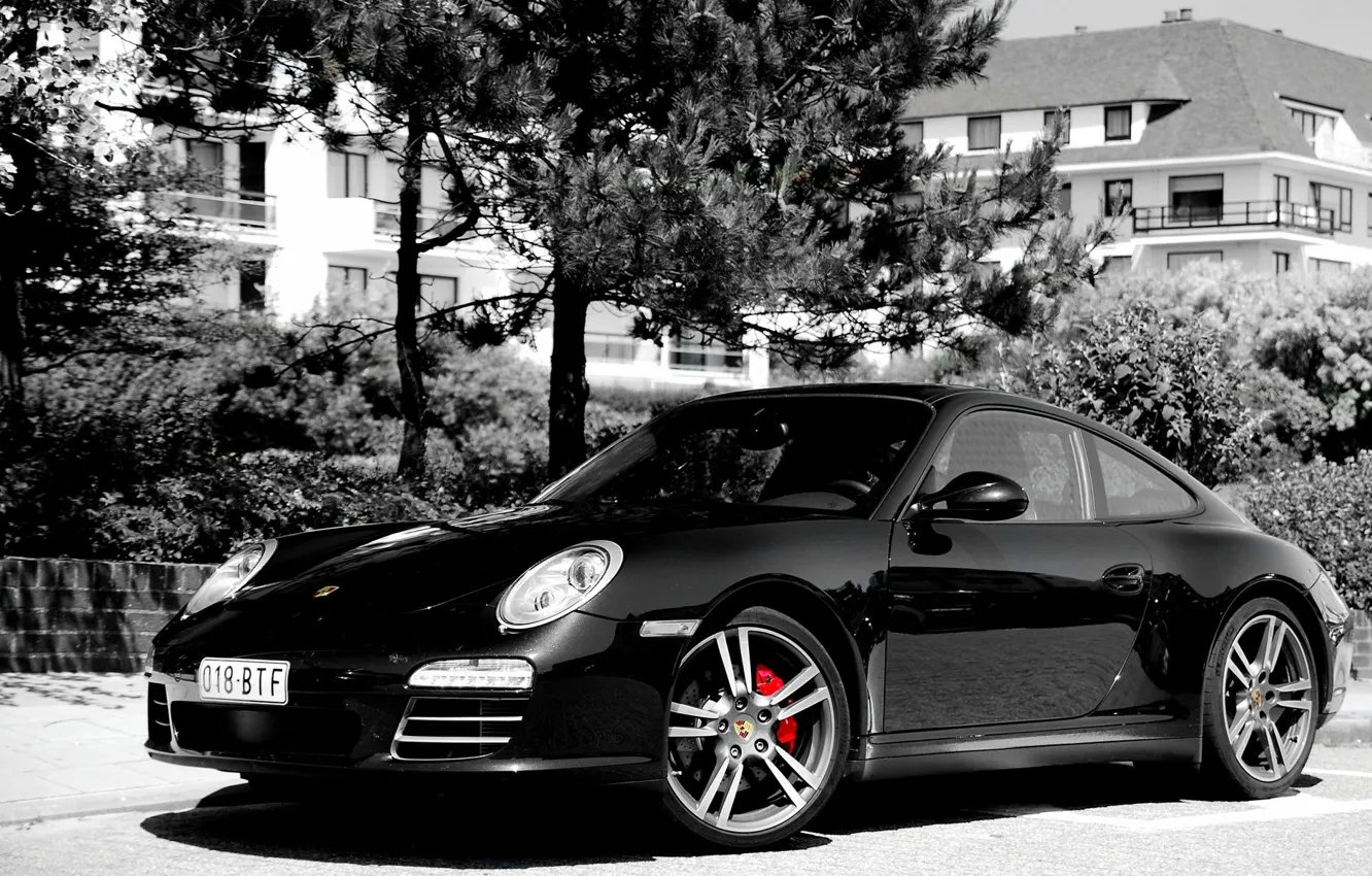 Фото обои Черный, Деревья, 911, Porsche, Серость, Белестит, Черно-Белое изображение