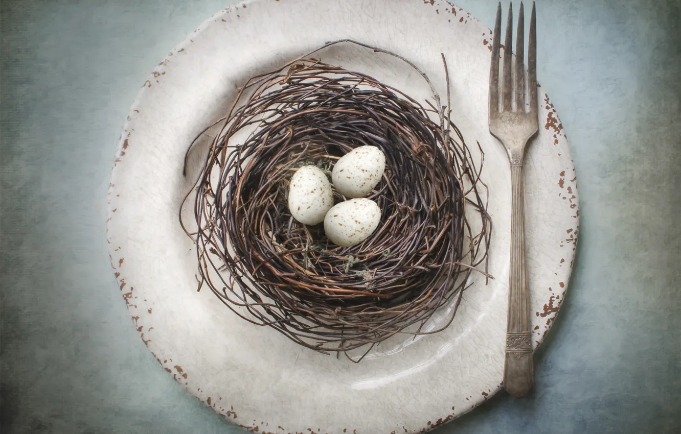 Фото обои тарелка, гнездо, вилка, яица