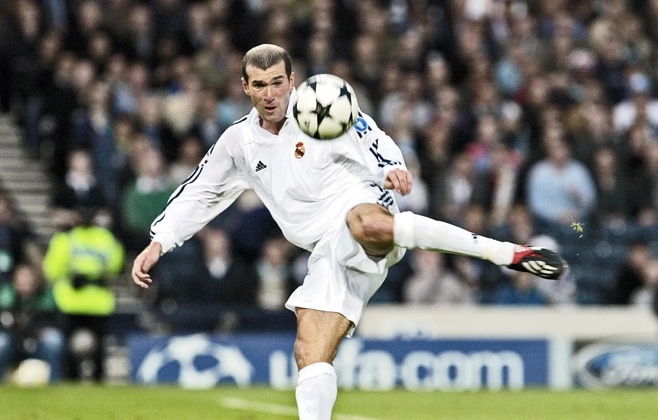 Фото обои football, Реал Мадрид, Real Madrid, Zinedine Zidane, Зинедин Зидан, League champions, легендарный гол