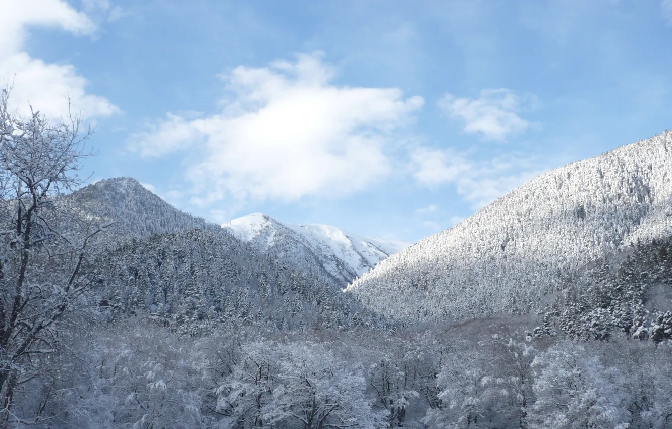 Фото обои зима, лес, небо, облака, снег, деревья, горы, россия