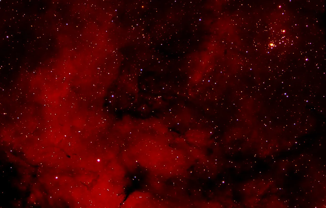 Фото обои туманность, Лебедь, является, в созвездии, эмиссионная, диффузная, NGC 6910, рассеянное скопление