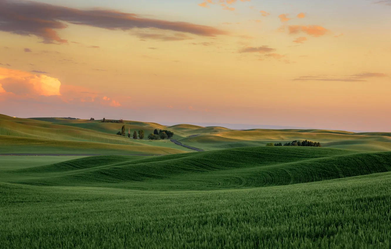 Фото обои холмы, США, штат Вашингтон, Palouse, Палаус