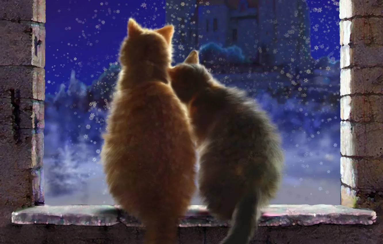 Фото обои зима, снег, любовь, кошки, снежинки, ночь, замок, окно
