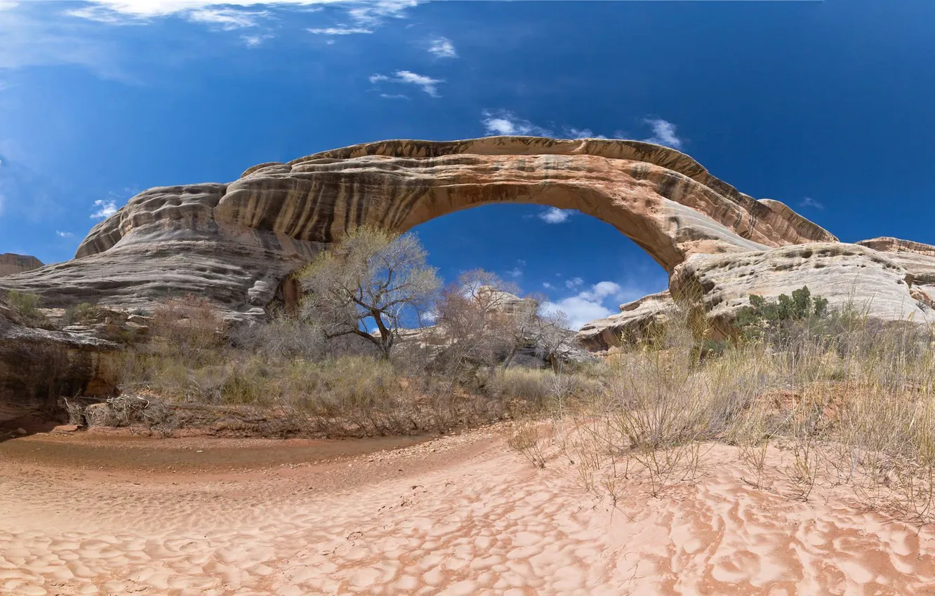 Фото обои небо, скалы, арка, сша, кусты, Arches National Park, uta