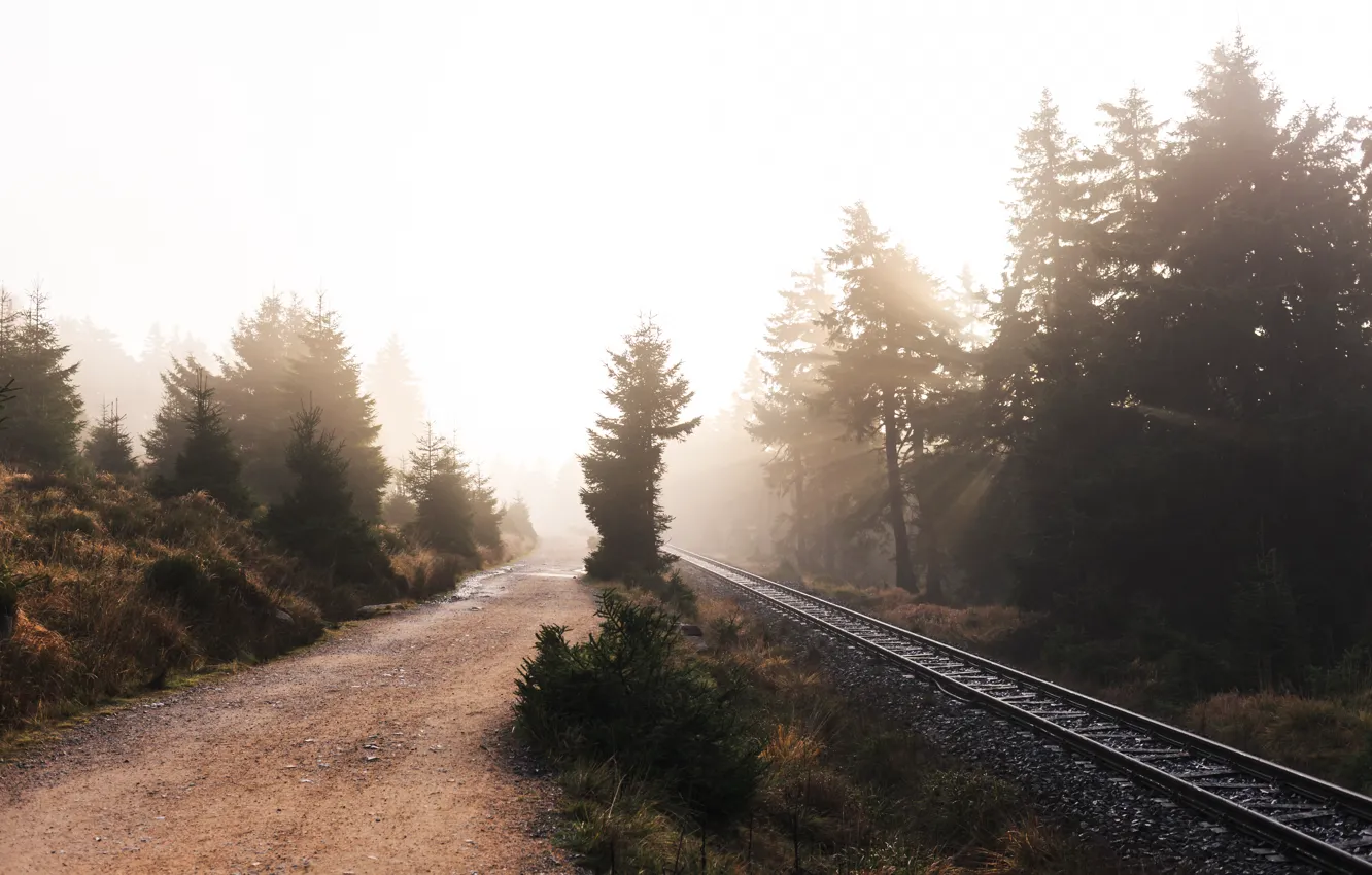 Фото обои дорога, природа, туман, железная дорога