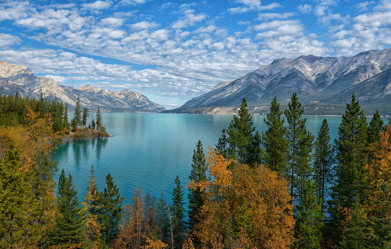 Фото обои осень, деревья, горы, озеро, Канада, Альберта, Alberta, Canada