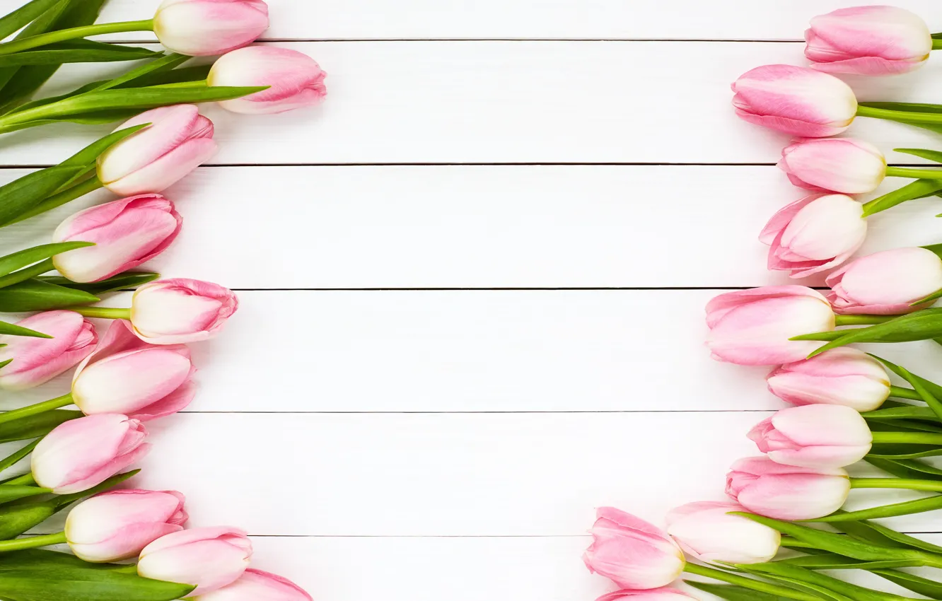 Фото обои белый, фон, тюльпаны, Wood, розвые, Olena Rudo