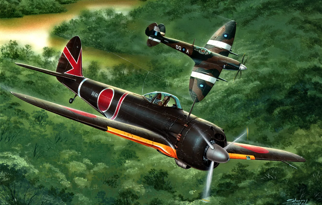 Фото обои Imperial, Hayabusa, Spitfire, Nakajima, WW2, Supermarine, Mk.VIII, Ki-43-III Ko