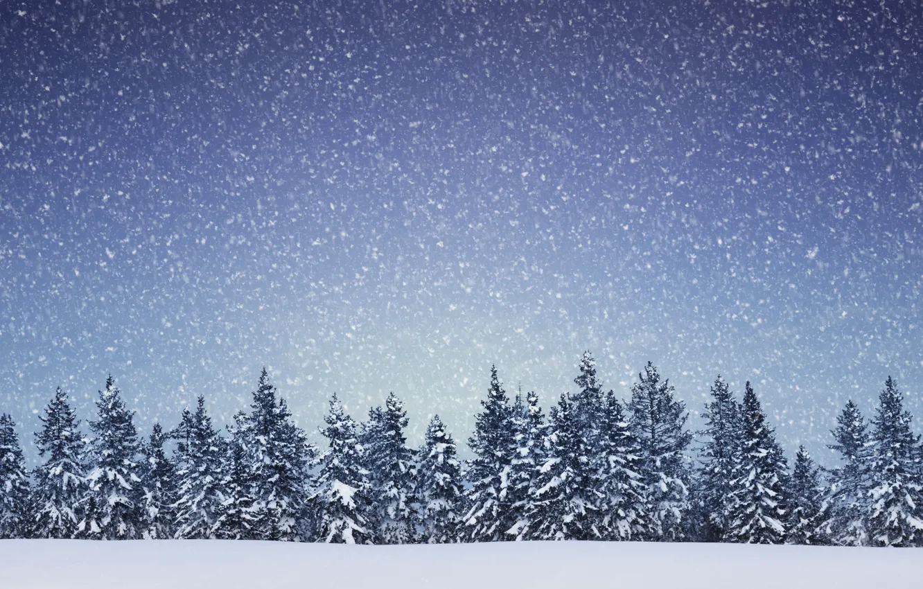 Фото обои зима, снег, деревья, пейзаж, снежинки, природа, ель, хвойный лес