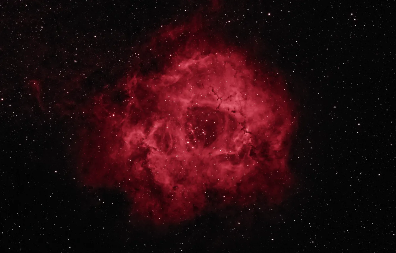 Фото обои космос, звезды, красота, Rosette Nebula