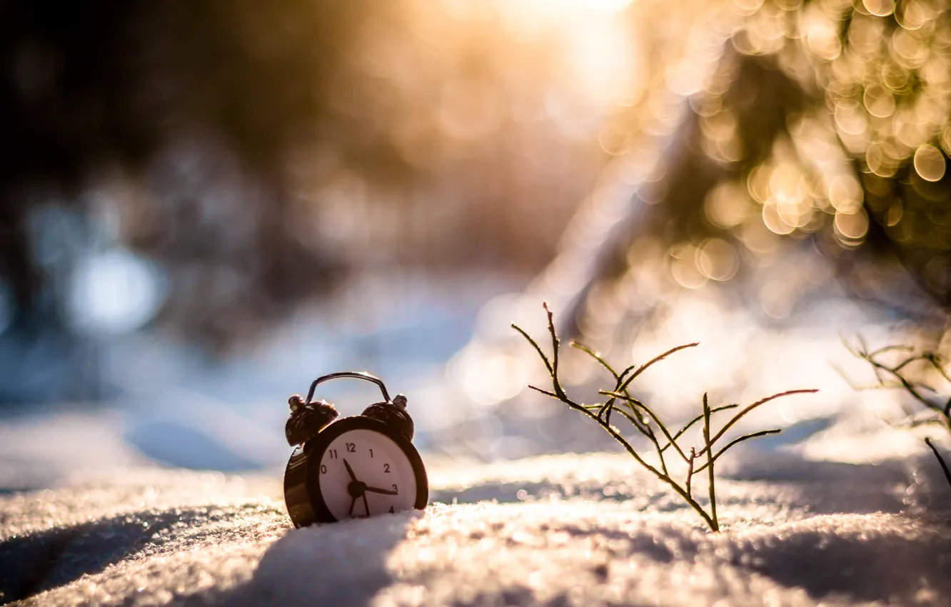 Фото обои зима, трава, снег, часы, будильник, боке