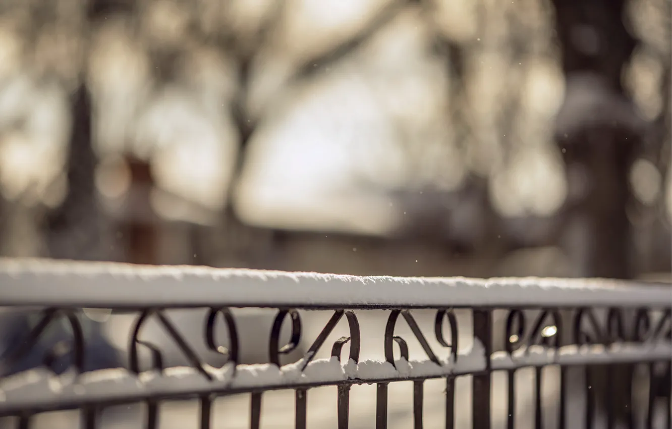 Фото обои зима, макро, снег, природа, забор, ограда, размытость, прутья
