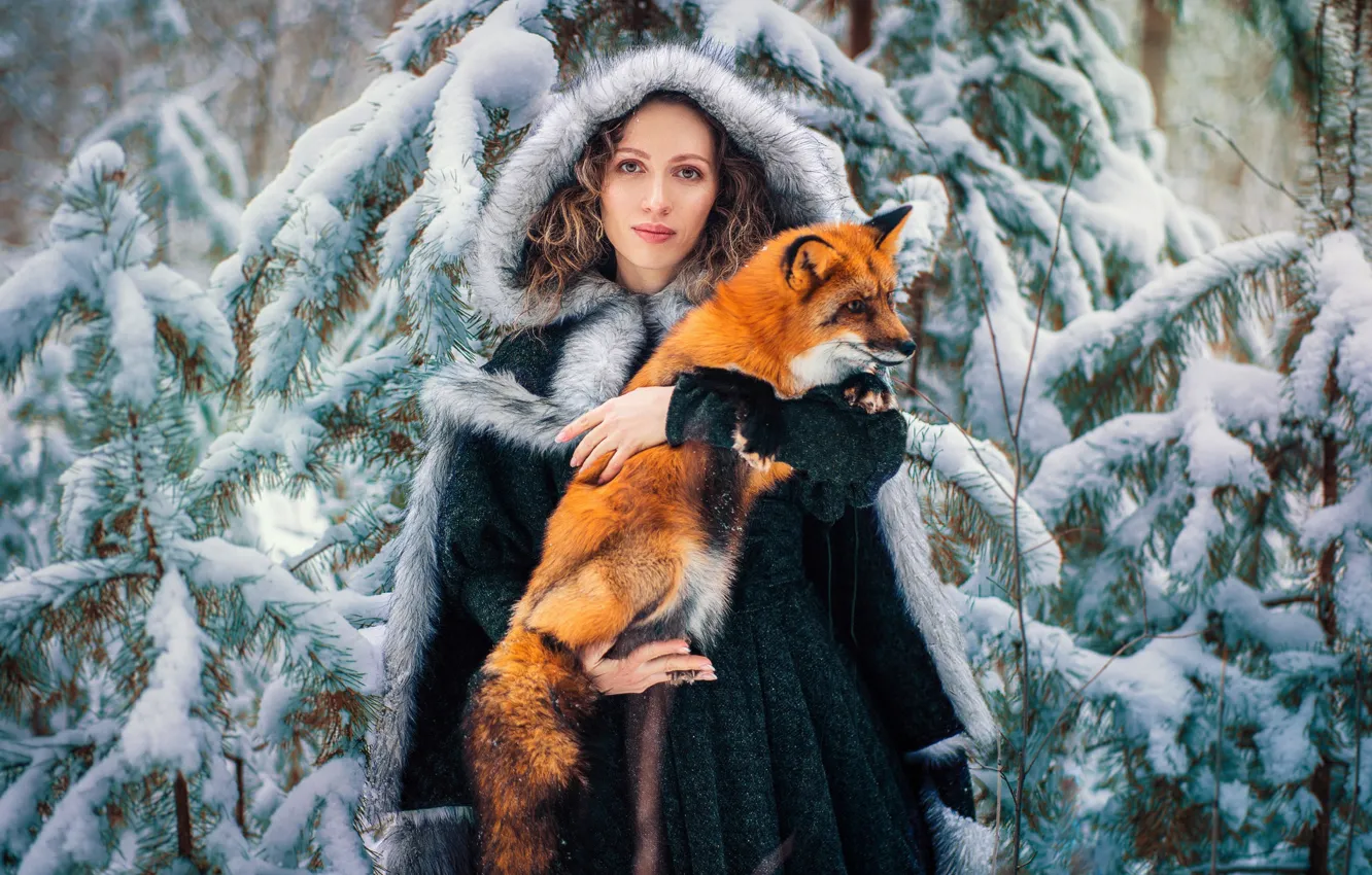 Фото обои зима, лес, взгляд, девушка, снег, лиса, капюшон, рыжая