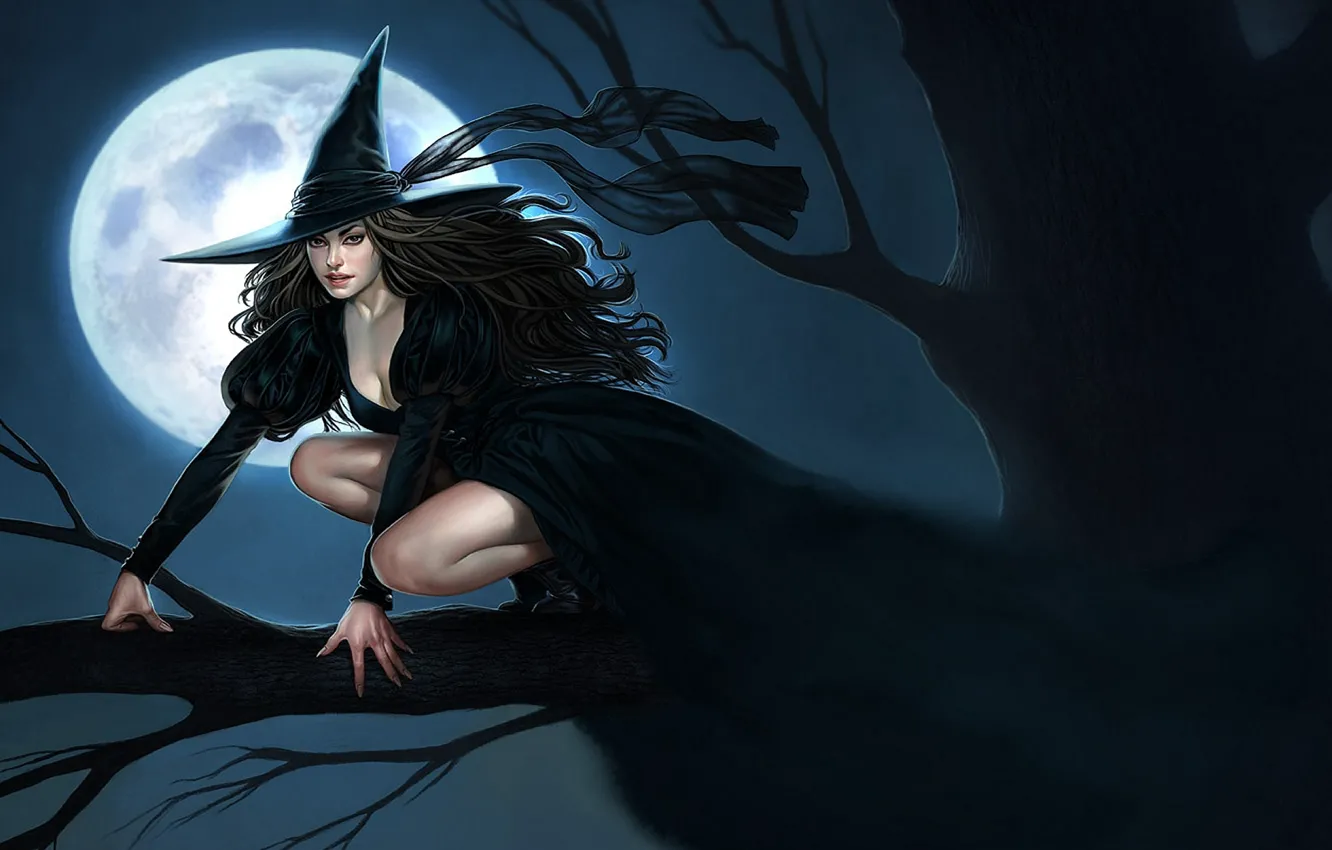 Фото обои ночь, дерево, ветка, шляпа, лента, Halloween, ведьма, полнолуние