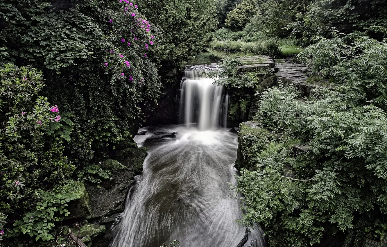 Фото обои лес, Англия, водопад, кусты, Ньюкасл, England, Newcastle, Jesmond Dene Waterfall
