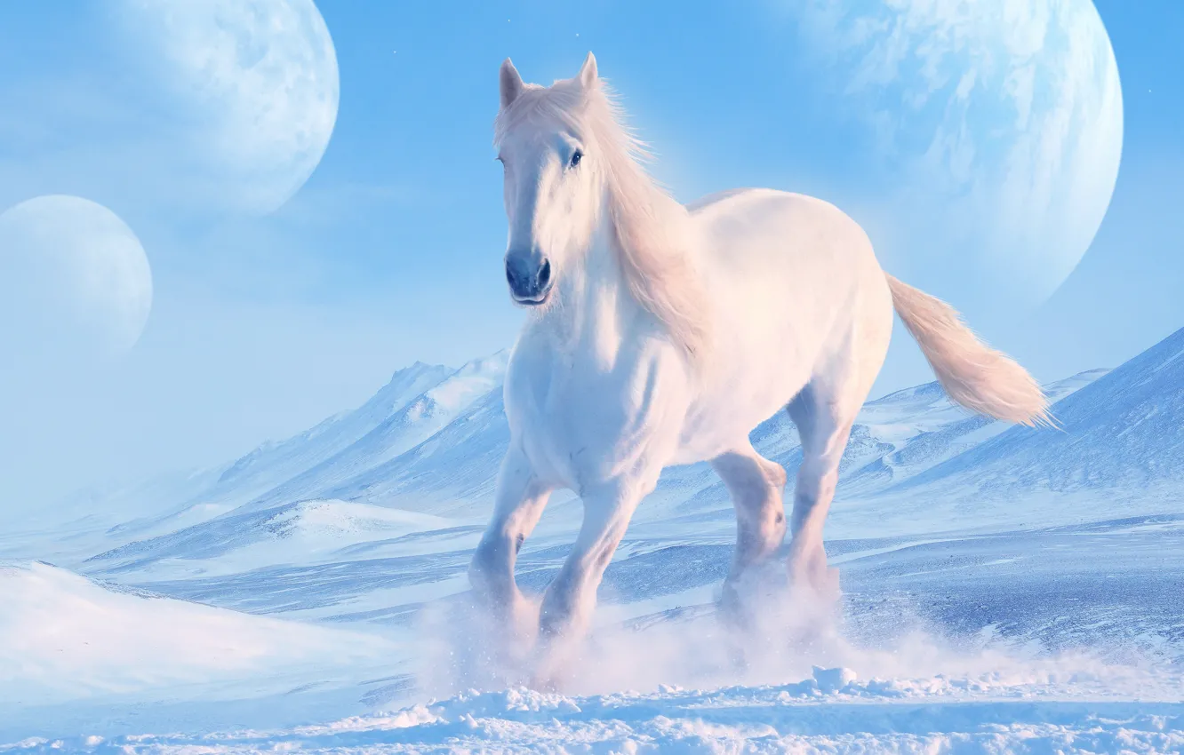 Фото обои зима, белый, небо, снег, горы, рендеринг, конь, лошадь