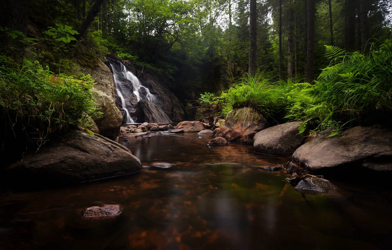 Фото обои лес, деревья, камни, водопад, речка