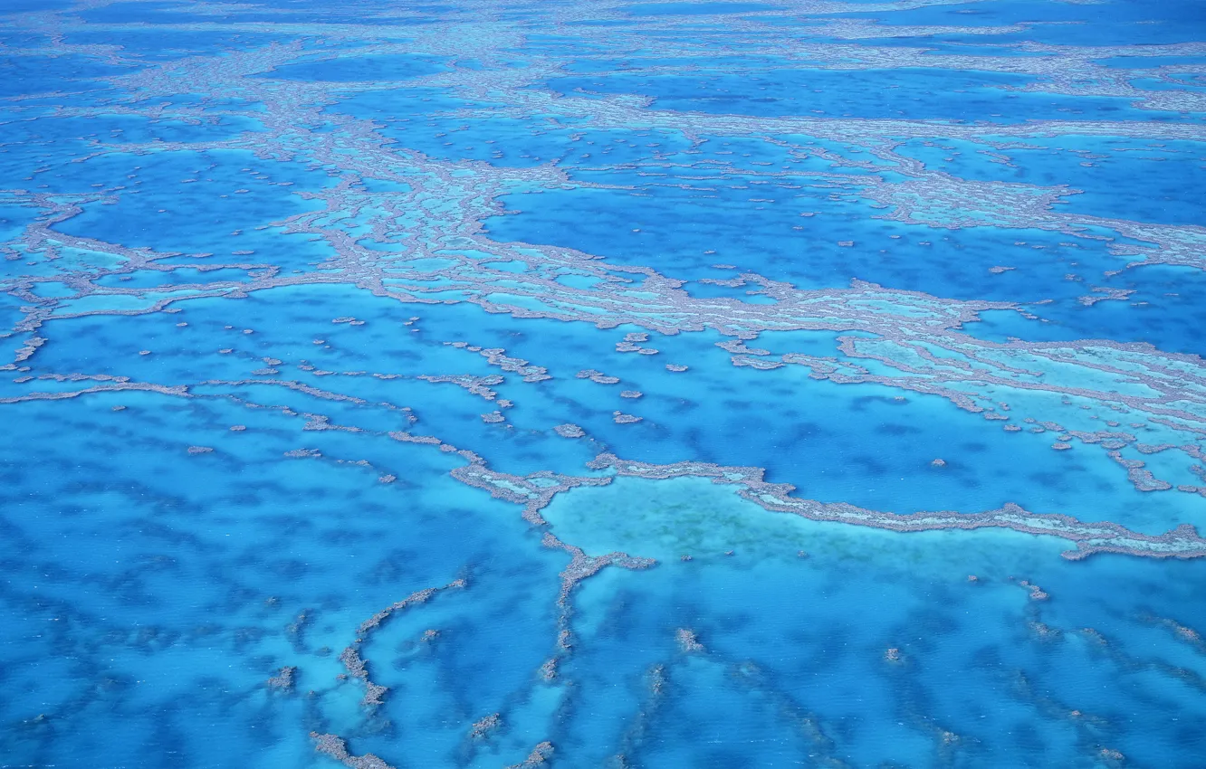 Фото обои море, вода, отмель, лазурь