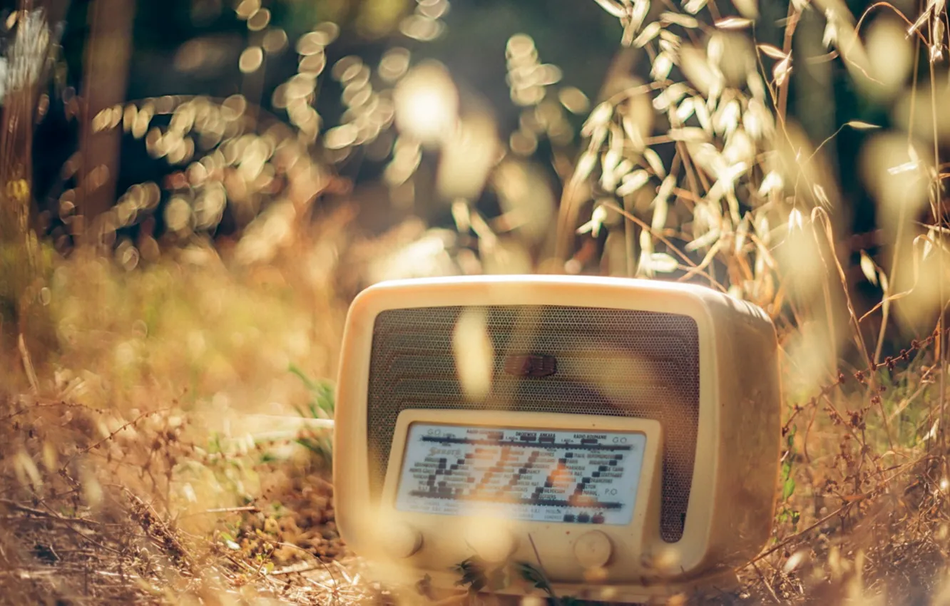 Фото обои трава, макро, радиоприёмник