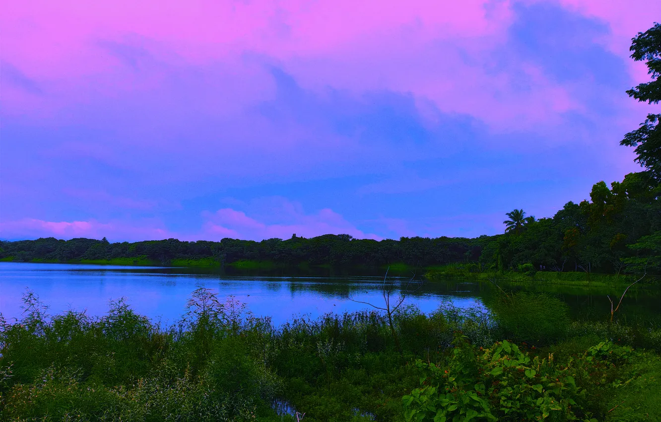 Фото обои Clouds, Sky, Water, Sunrise, Dawn, Morning, Lake, Trees