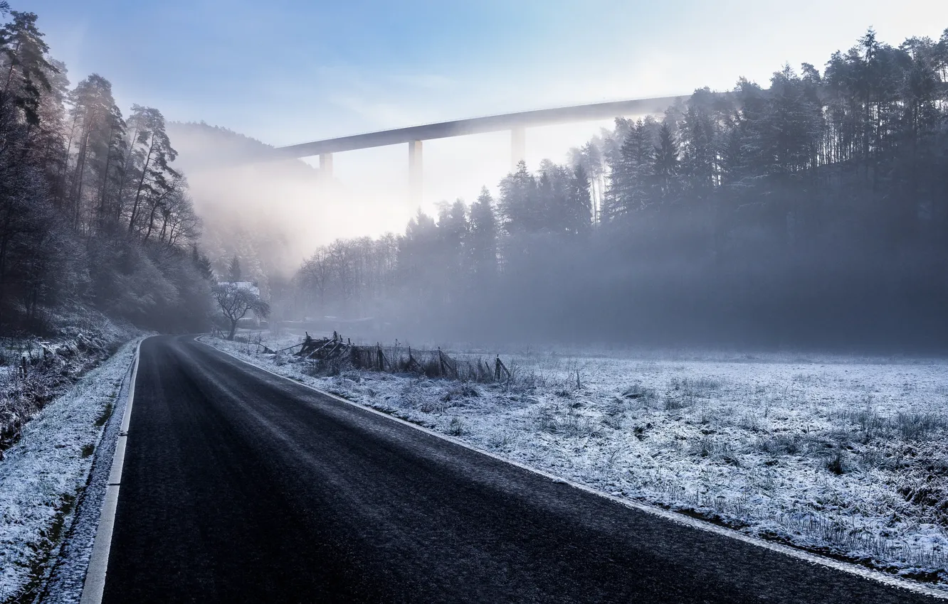 Фото обои зима, дорога, лес, мост, Германия, Germany, Trier, Трир