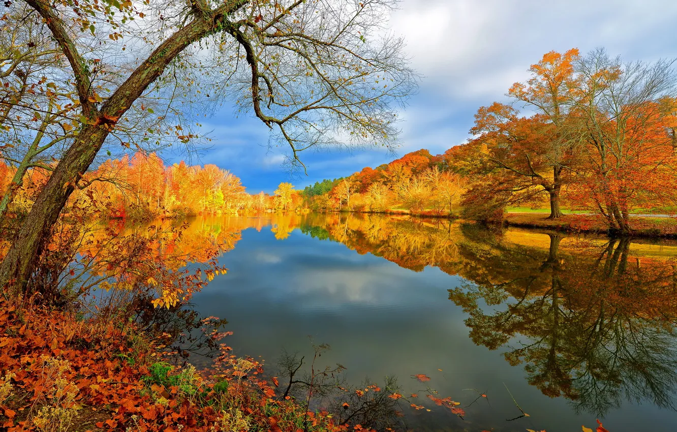 Фото обои осень, пейзаж, природа, озеро