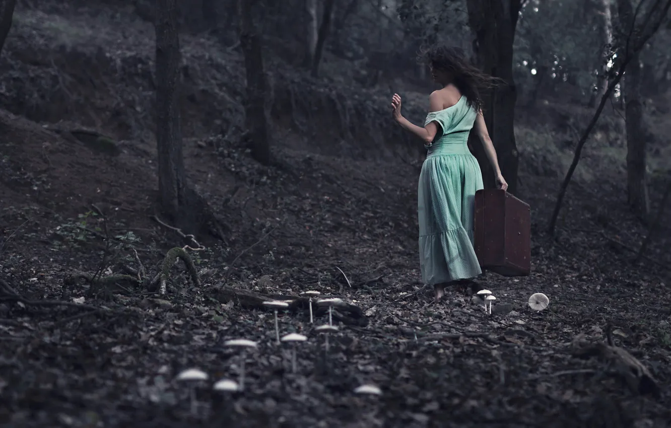 Фото обои лес, девушка, чемодан