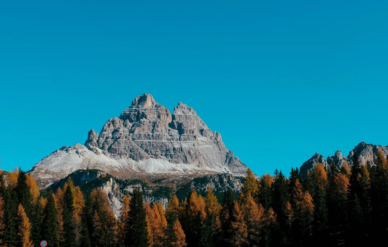 Фото обои осень, лес, небо, деревья, горы