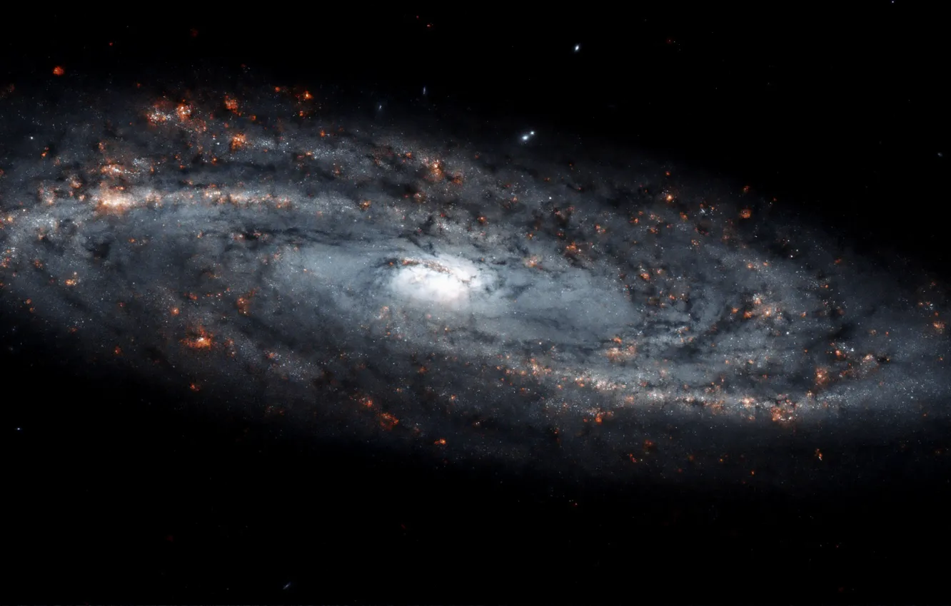 Фото обои Stars, Galaxy, Spiral galaxy, Constellation Ursa Major, Star formation regions, NGC 4100