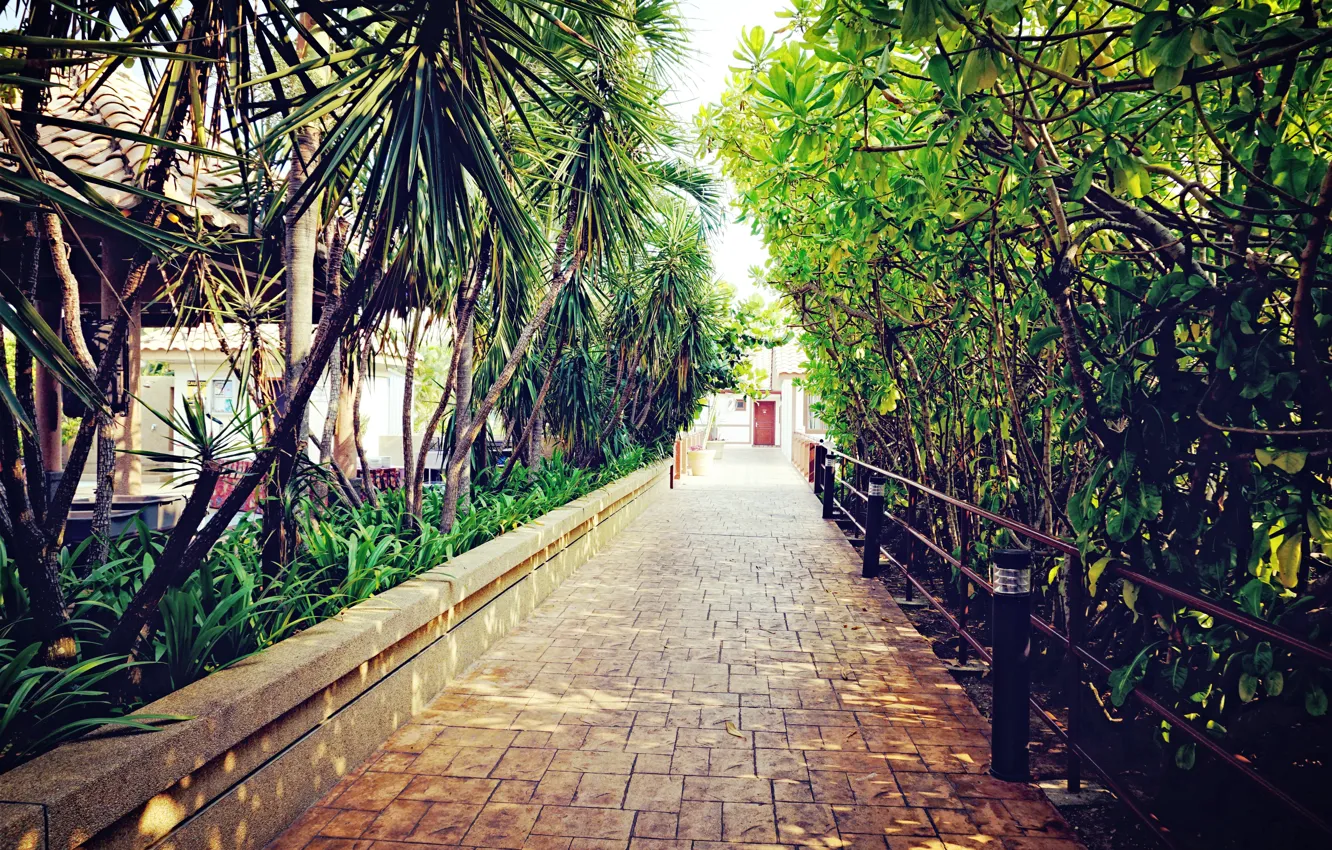 Фото обои green, nature, hotel, holiday, walkway, malaysia, lexis, port dickson