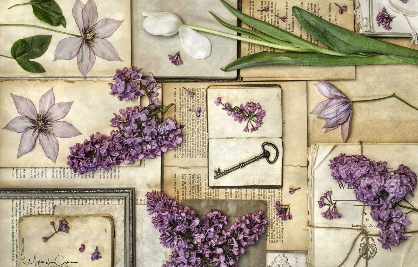 Фото обои книги, тюльпан, ключ, винтаж, сирень, клематис, гербарий